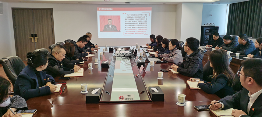 集團(tuán)黨委委員、副總經(jīng)理賀維維同志講授專題黨課