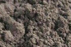 成員企業(yè)信息